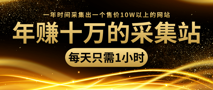 年赚十万的采集站，每天却只需要1小时，一年时间采集出一个售价10W以上的网站-副业资源站 | 数域行者