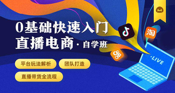 0基础快速入门直播电商课程：直播平台玩法解析-团队打造-带货全流程等环节-副业资源站 | 数域行者