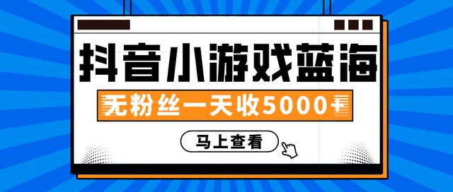赚钱计划：抖音小游戏蓝海项目，无粉丝一天收入5000+-副业资源站 | 数域行者