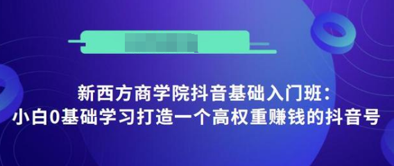 抖音基础入门班：小白0基础学习打造一个高权重赚钱的抖音号-副业资源站 | 数域行者