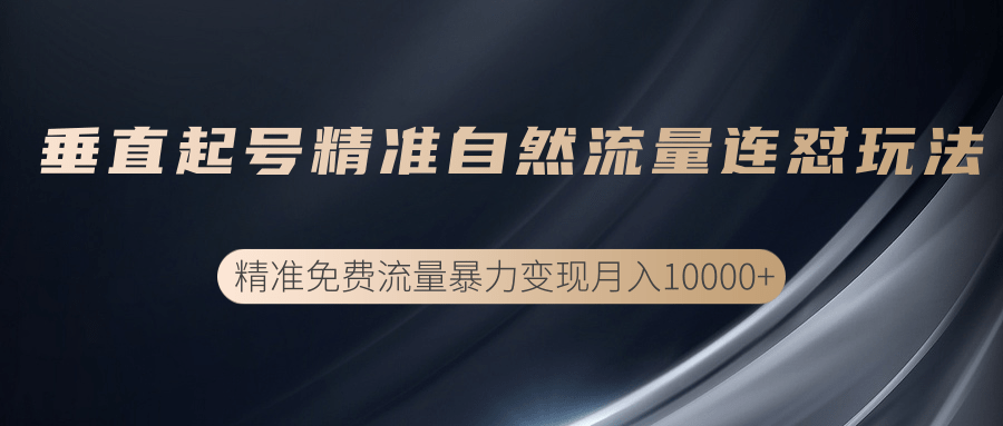 垂直起号精准自然流量连爆玩法，精准引流暴力变现月入10000+-副业资源站 | 数域行者