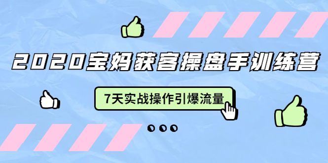 2020宝妈获客操盘手训练营：7天实战操作引爆 母婴、都市、购物宝妈流量-副业资源站 | 数域行者