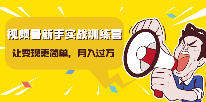 视频号新手实战训练营，让变现更简单，玩赚视频号，轻松月入过万-副业资源站 | 数域行者