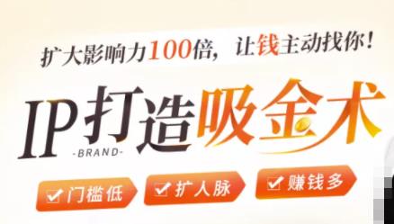 IP打造吸金术：0基础0资源，也能扩大影响力100倍，让钱主动找你！-副业资源站 | 数域行者