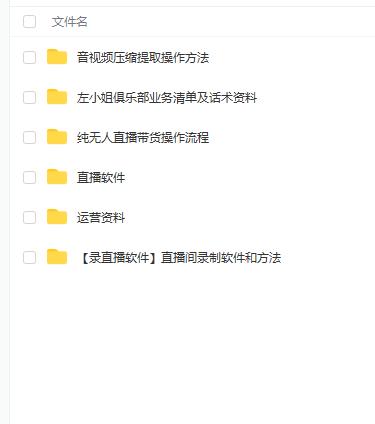 左小姐-直播带货俱乐部十三行、无人直播，全套教程附：工具、文档、话术资料-副业资源站 | 数域行者
