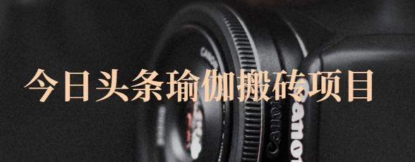 猎人社区·今日头条瑜伽搬砖项目，单号一天几十收入，可以批量操作！-副业资源站 | 数域行者