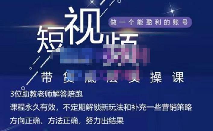 吴Sir·短视频带货底层实操课，教你如何选爆品、了解获短视频流量密码，正确起号-副业资源站 | 数域行者