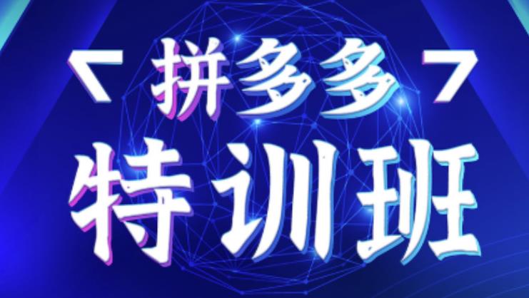 星雪教育·拼多多基础班+进阶班+突破班，用系统的学习模式快速改变现状价值3580元-副业资源站 | 数域行者