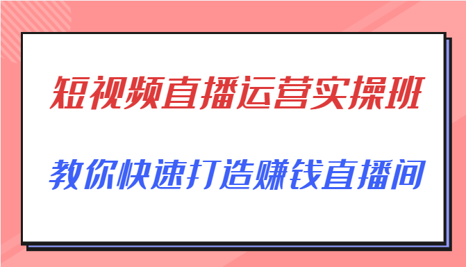 短视频直播运营实操班，直播带货精细化运营实操，教你快速打造赚钱直播间-副业资源站 | 数域行者