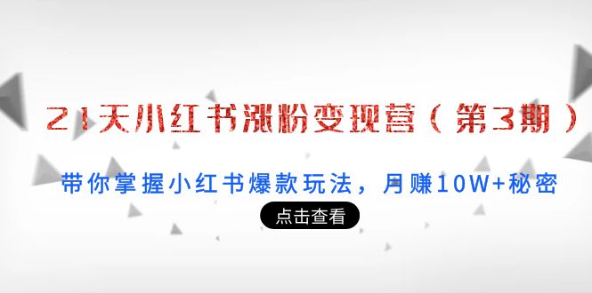 21天小红书涨粉变现营（第3期）：带你掌握小红书爆款玩法，月赚10W+秘密-副业资源站 | 数域行者