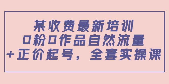 某最新收费培训内容：0粉0作品自然流量+正价起号，全套实操课-副业资源站 | 数域行者