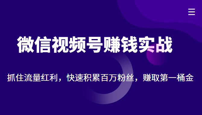 微信视频号赚钱实战：抓住流量红利，快速积累百万粉丝，赚取你的第一桶金-副业资源站 | 数域行者