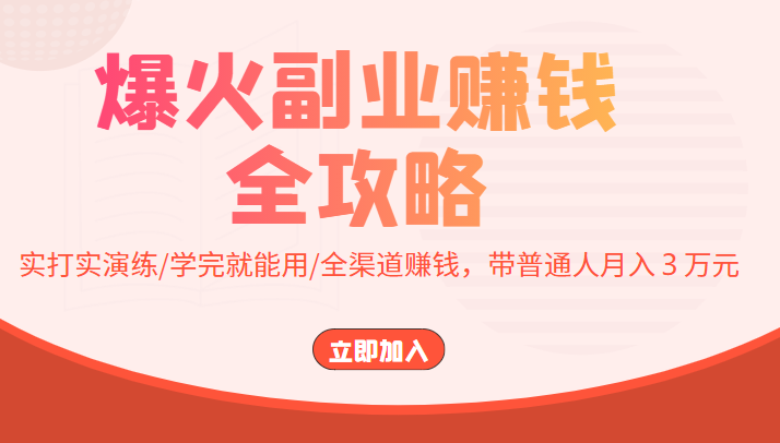 爆火副业赚钱全攻略：实打实演练/学完就能用/全渠道赚钱，带普通人月入３万元-副业资源站 | 数域行者