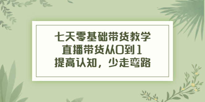 七天零基础带货教学，直播带货从0到1，提高认知，少走弯路-副业资源站 | 数域行者