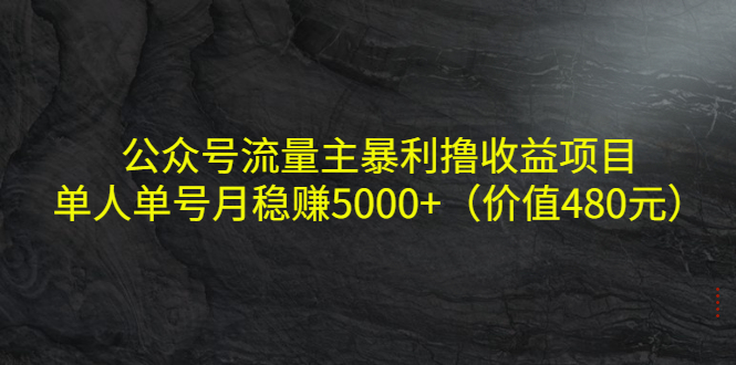 公众号流量主暴利撸收益项目，单人单号月稳赚5000+（价值480元）-副业资源站 | 数域行者