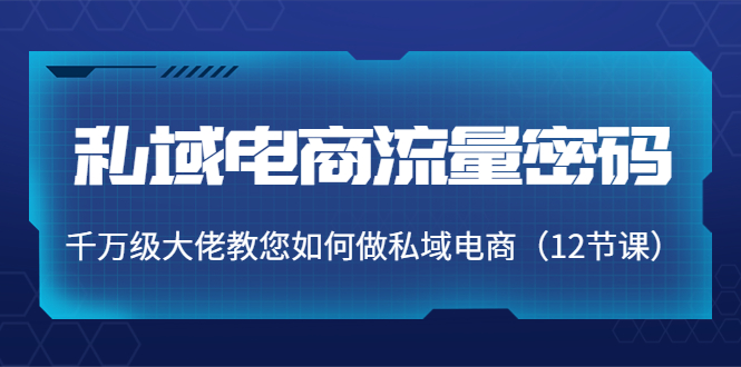 私域电商流量密码：千万级大佬教您如何做私域电商（12节课）-副业资源站 | 数域行者