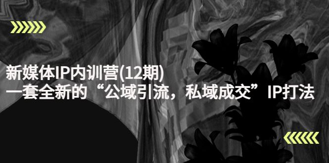 新媒体IP内训营(12期)，一套全新的“公域引流，私域成交”IP打法，直接带走-副业资源站 | 数域行者