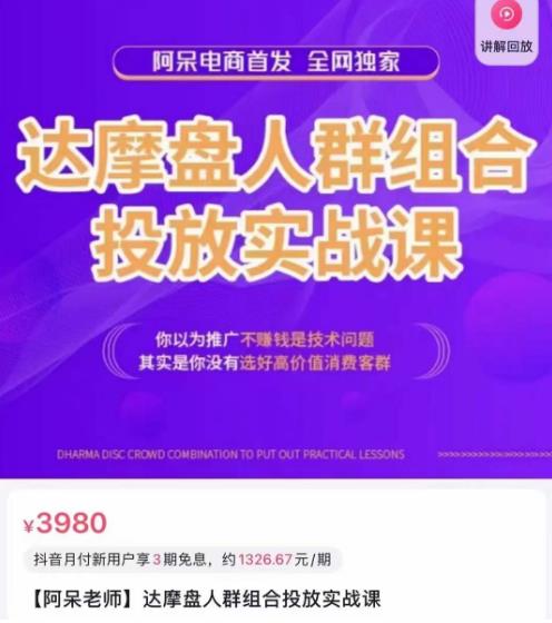 阿呆电商·达摩盘人群组合投放实战课，你以为推广不赚钱是技术问题，其实是你没有选好高价值消费客群-副业资源站 | 数域行者