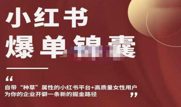 小红书爆单锦囊，自带种草属性+高质量女性用户，为你的企业开辟一条新的掘金路径-副业资源站 | 数域行者
