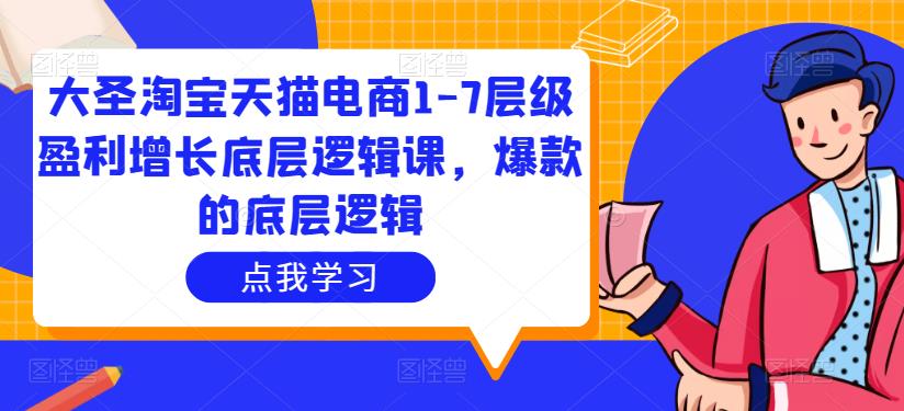 大圣淘宝天猫电商1-7层级盈利增长底层逻辑课，爆款的底层逻辑-副业资源站 | 数域行者