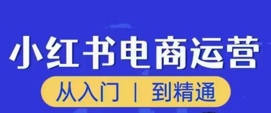 顽石小红书电商高阶运营课程，从入门到精通，玩法流程持续更新-副业资源站 | 数域行者