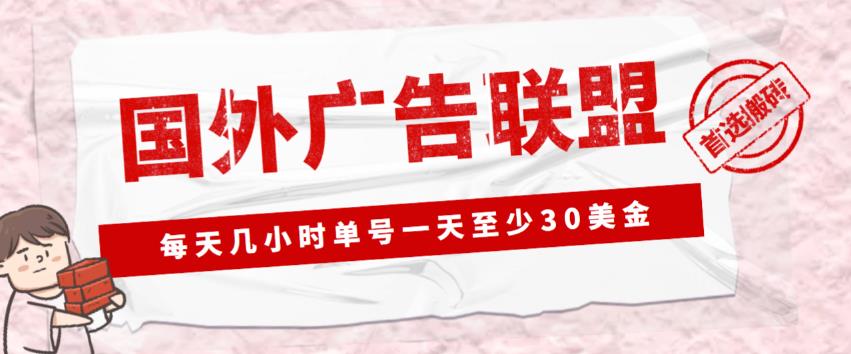 外面收费1980的最新国外LEAD广告联盟搬砖项目，单号一天至少30美金【详细玩法教程】-副业资源站 | 数域行者
