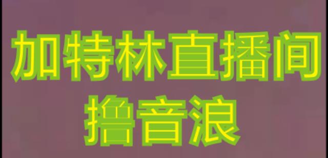 抖音加特林直播间搭建技术，抖音0粉开播，暴力撸音浪，2023新口子，每天800+【素材+详细教程】-副业资源站 | 数域行者