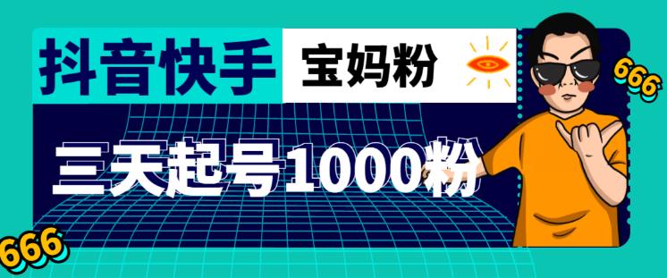 抖音快手三天起号涨粉1000宝妈粉丝的核心方法【详细玩法教程】-副业资源站 | 数域行者