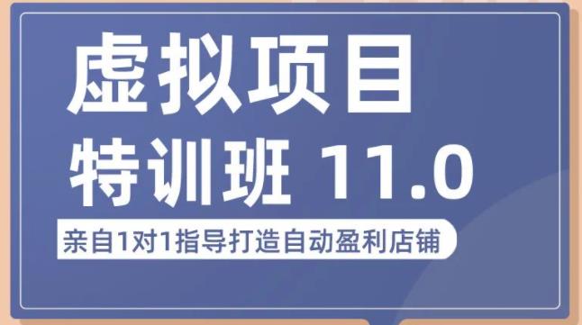 陆明明·虚拟项目特训班（10.0+11.0），0成本获取虚拟素材，0基础打造自动盈利店铺-副业资源站 | 数域行者