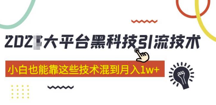 大平台黑科技引流技术，小白也能靠这些技术混到月入1w+(2022年的课程）-副业资源站 | 数域行者