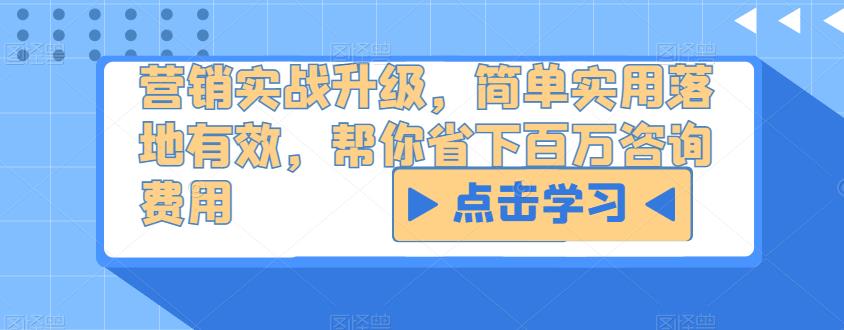 营销实战升级，简单实用落地有效，帮你省下百万咨询费用-副业资源站 | 数域行者
