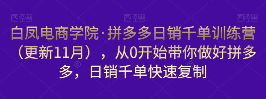 白凤电商学院·拼多多日销千单训练营，从0开始带你做好拼多多，日销千单快速复制（更新知2023年3月）-副业资源站 | 数域行者