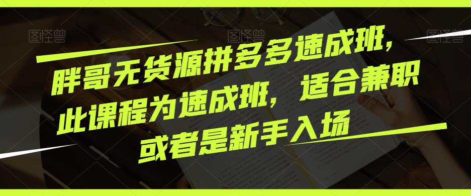 胖哥无货源拼多多速成班，此课程为速成班，适合兼职或者是新手入场-副业资源站 | 数域行者