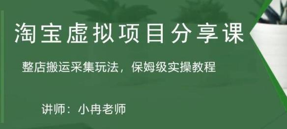 淘宝虚拟整店搬运采集玩法分享课：整店搬运采集玩法，保姆级实操教程-副业资源站 | 数域行者