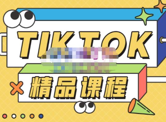 电商孵化中心·TikTok精品课程，教你玩转海外抖音，低成本创业，带您从0开始玩转TikTok-副业资源站 | 数域行者