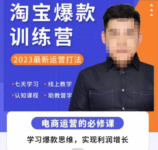 爱上黄昏·淘宝爆款训练营，2023最新运营打法，学习爆款思维，实现利润增长-副业资源站 | 数域行者
