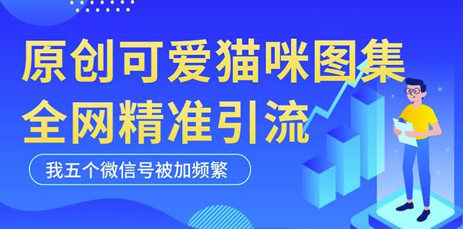 黑科技纯原创可爱猫咪图片，全网精准引流，实操5个VX号被加频繁-副业资源站 | 数域行者