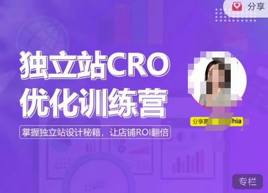 独立站CRO优化训练营，掌握独立站设计秘籍，打造高转化的独立站，让店铺ROI翻倍-副业资源站 | 数域行者