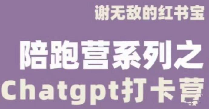 谢无敌ChatGPT打卡营，教你更好地使用ChatGPT来提高工作效率-副业资源站 | 数域行者