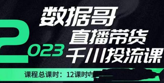 数据哥2023直播电商巨量千川付费投流实操课，快速掌握直播带货运营投放策略-副业资源站 | 数域行者