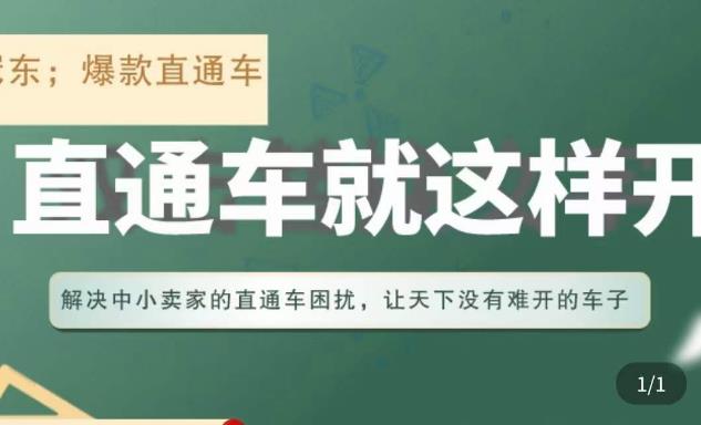 冠东·淘系直通车保姆级教程，全面讲解直通车就那么简单-副业资源站 | 数域行者