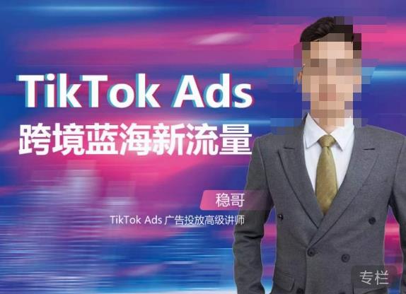 稳哥·如何投出高ROI的TikTok广告，开拓独立站卖家流量新蓝海-副业资源站 | 数域行者