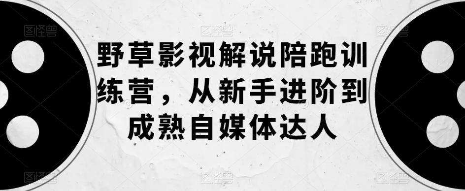 野草影视解说陪跑训练营，从新手进阶到成熟自媒体达人-副业资源站 | 数域行者