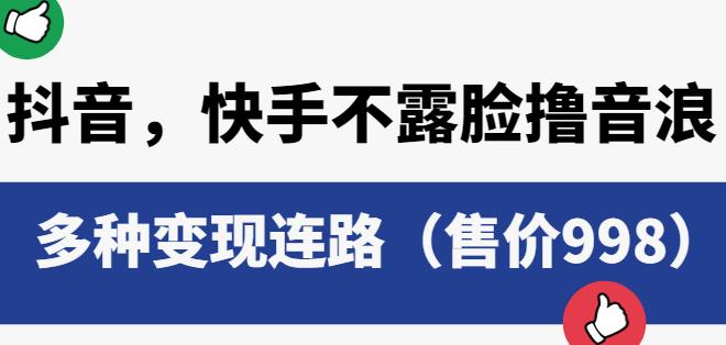 抖音快手不露脸撸音浪项目，多种变现连路（售价998）-副业资源站 | 数域行者