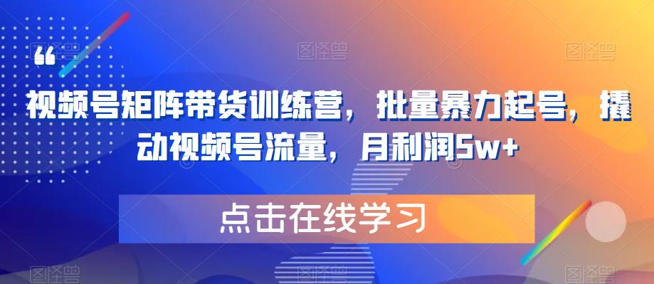 视频号矩阵带货训练营，批量暴力起号，撬动视频号流量，月利润5w+-副业资源站 | 数域行者