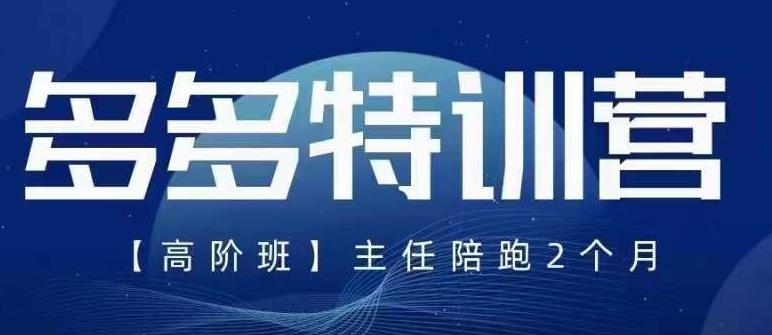 纪主任·5月最新多多特训营高阶班，玩法落地实操，多多全掌握-副业资源站 | 数域行者