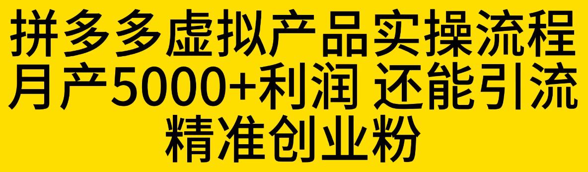 拼多多虚拟产品实操流程，月产5000+利润，还能引流精准创业粉【揭秘】-副业资源站 | 数域行者