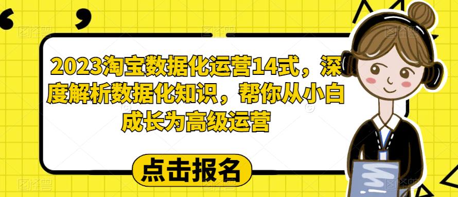 2023淘宝数据化运营14式，深度解析数据化知识，帮你从小白成长为高级运营-副业资源站 | 数域行者