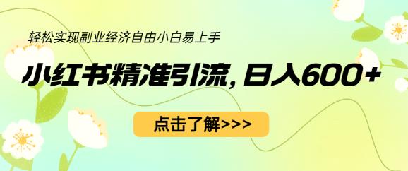 小红书精准引流，小白日入600+，轻松实现副业经济自由（教程+1153G资源）-副业资源站 | 数域行者
