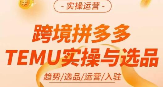 伍跃·跨境拼多多TEMU实操与选品，​趋势/选品/运营/入住（27节完整）-副业资源站 | 数域行者